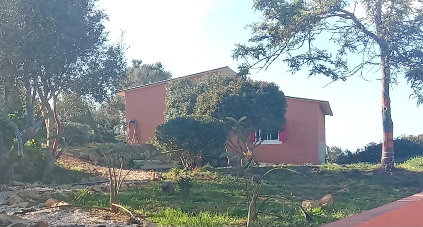 Casa Da Oliveira Holiday home Alto da Cerca